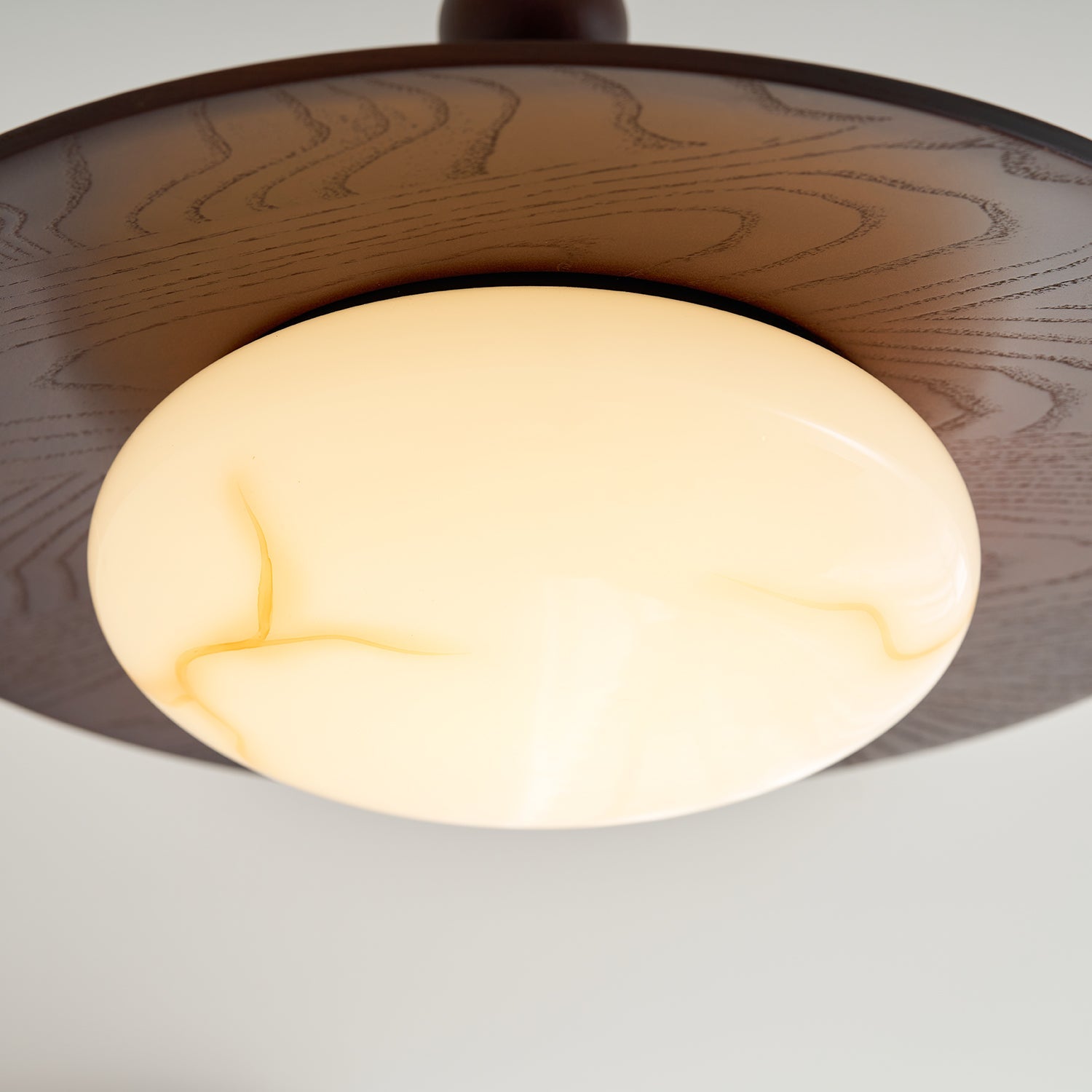 Wynnro Ceiling Light