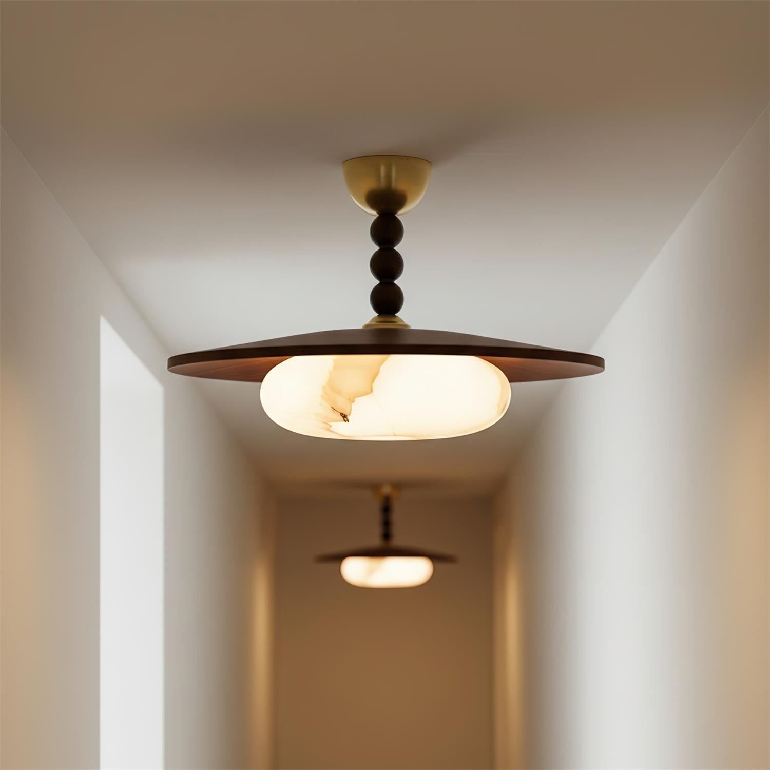 Wynnro Ceiling Light