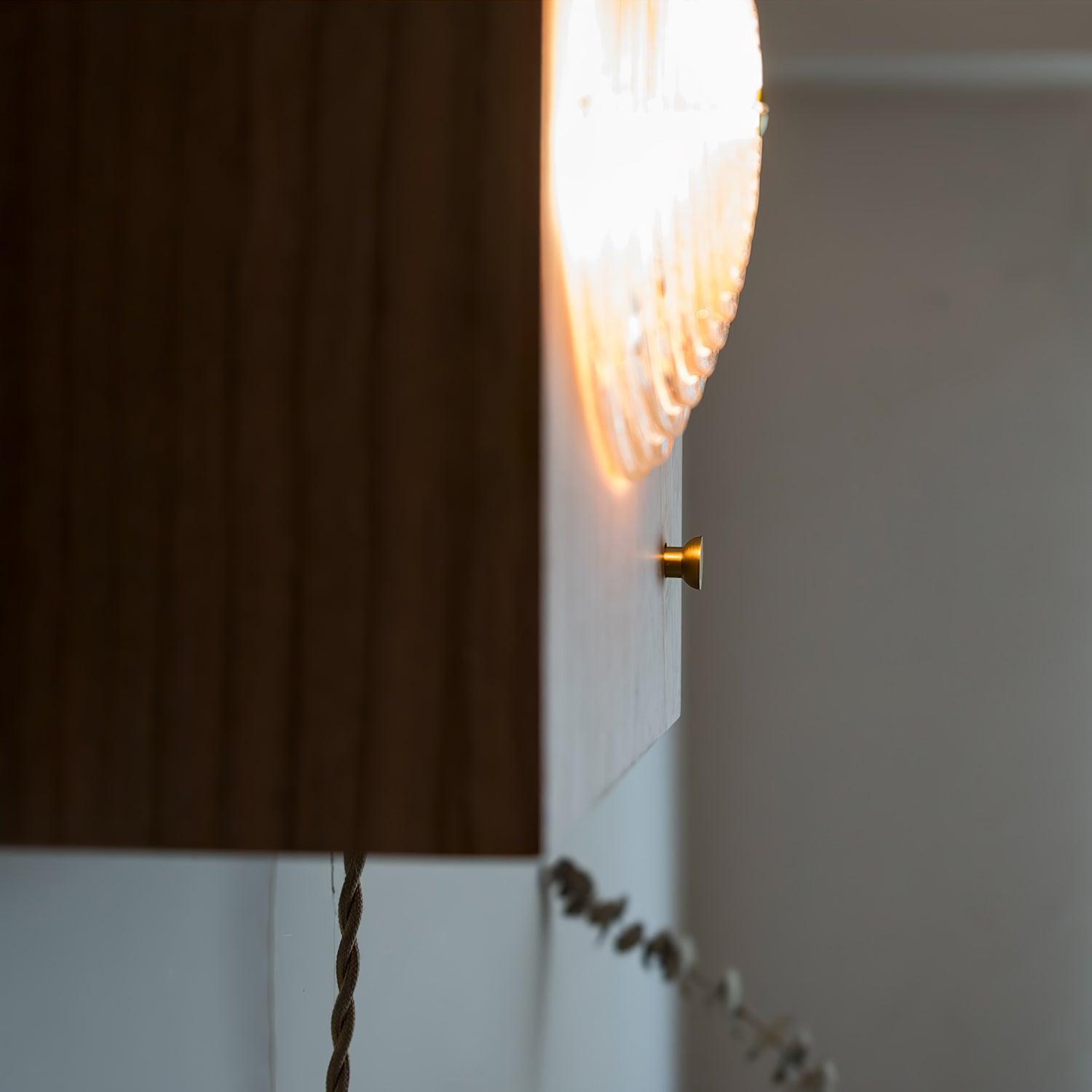 Wooden Vintage Camera Wall Light