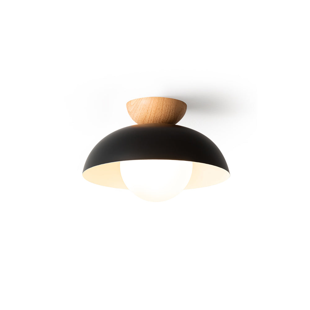 Merrarley Ceiling Light