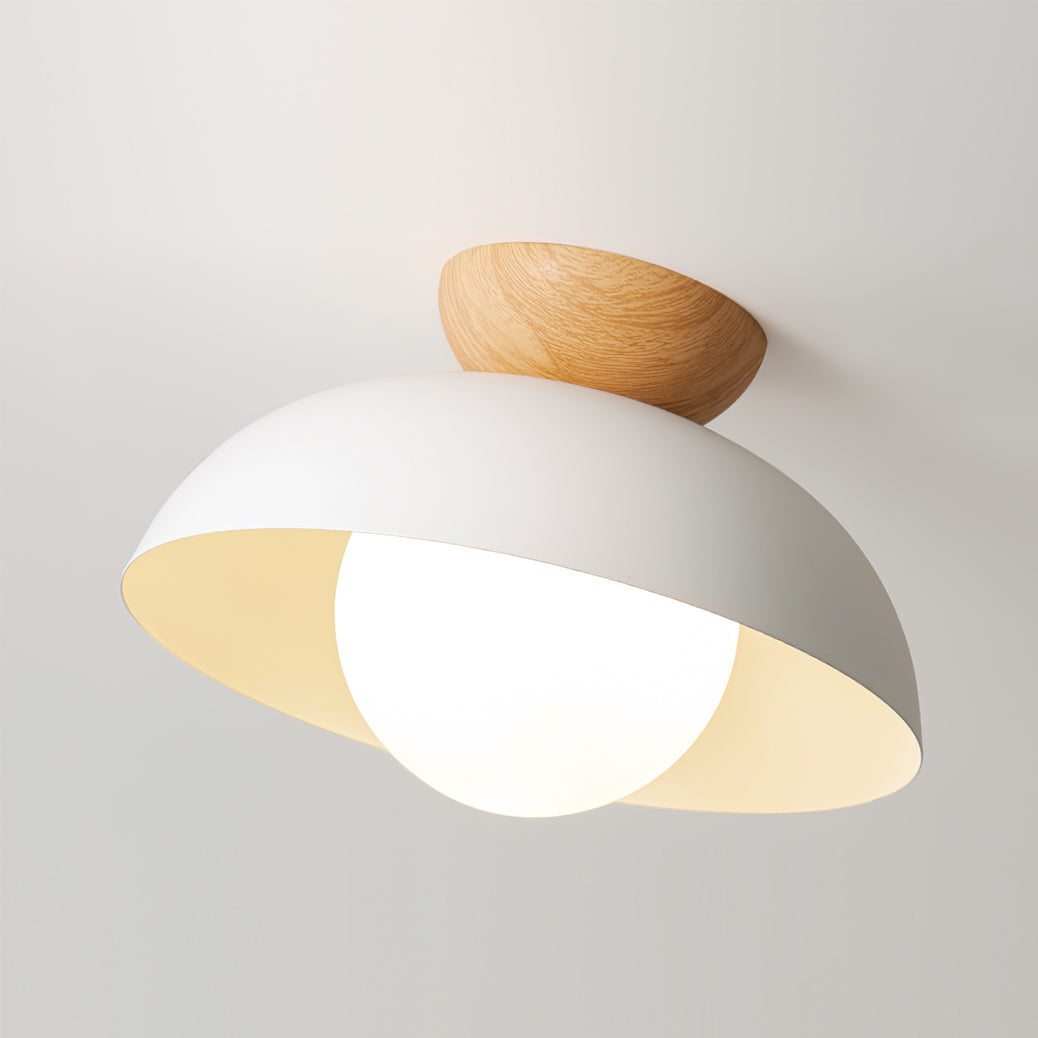 Merrarley Ceiling Light