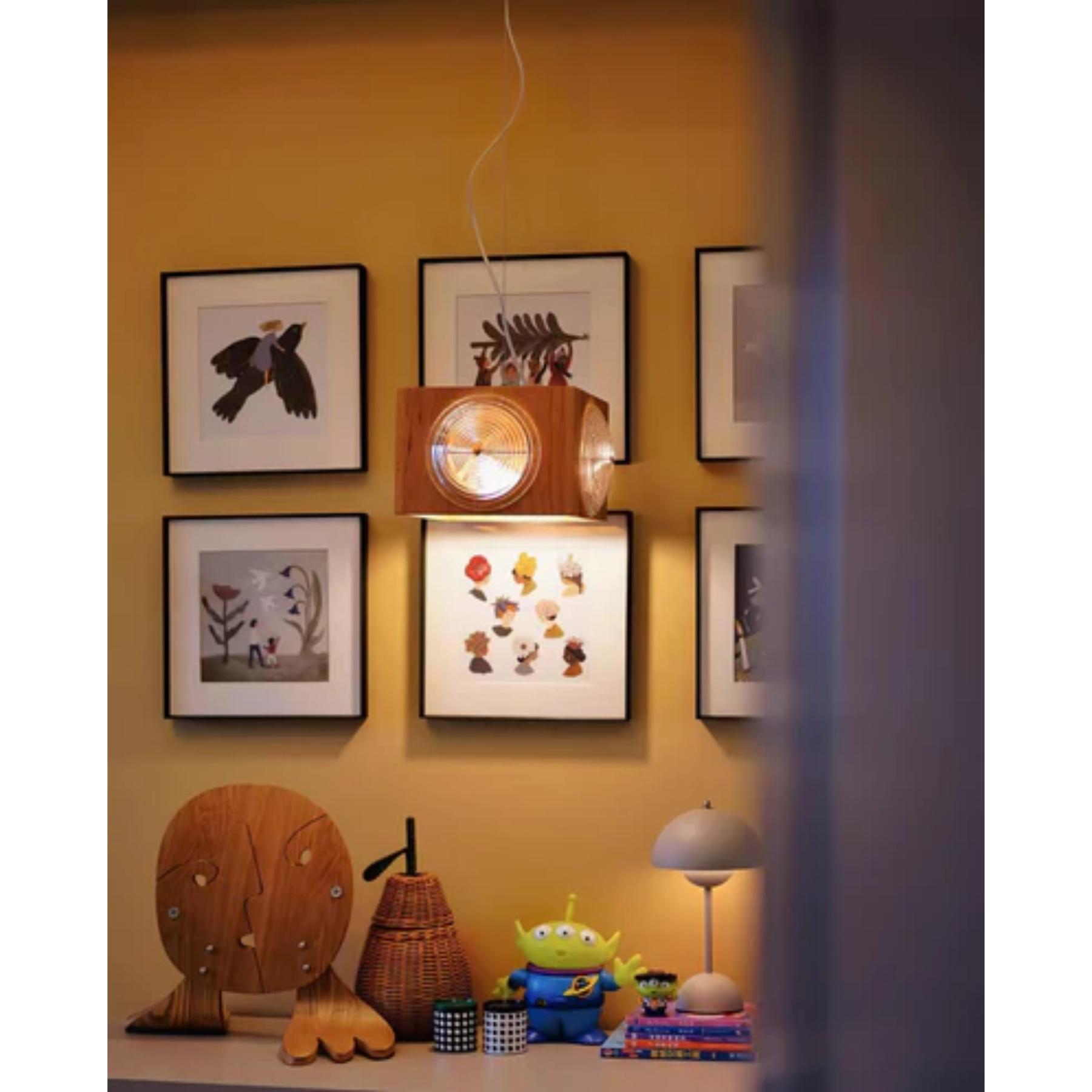 Wooden Vintage Camera Pendant Light