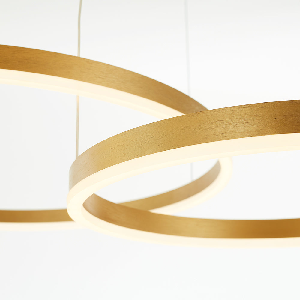 Lorenna Ring Pendant Light