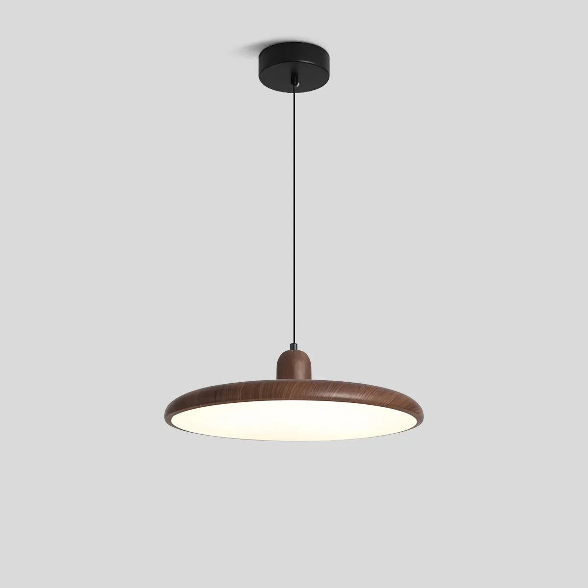 Weluzon Pendant Light