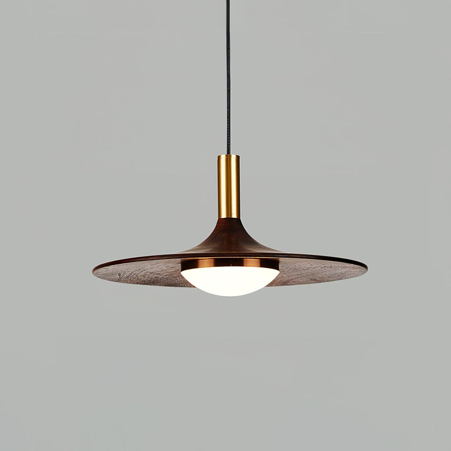 Dewuso Pendant Light