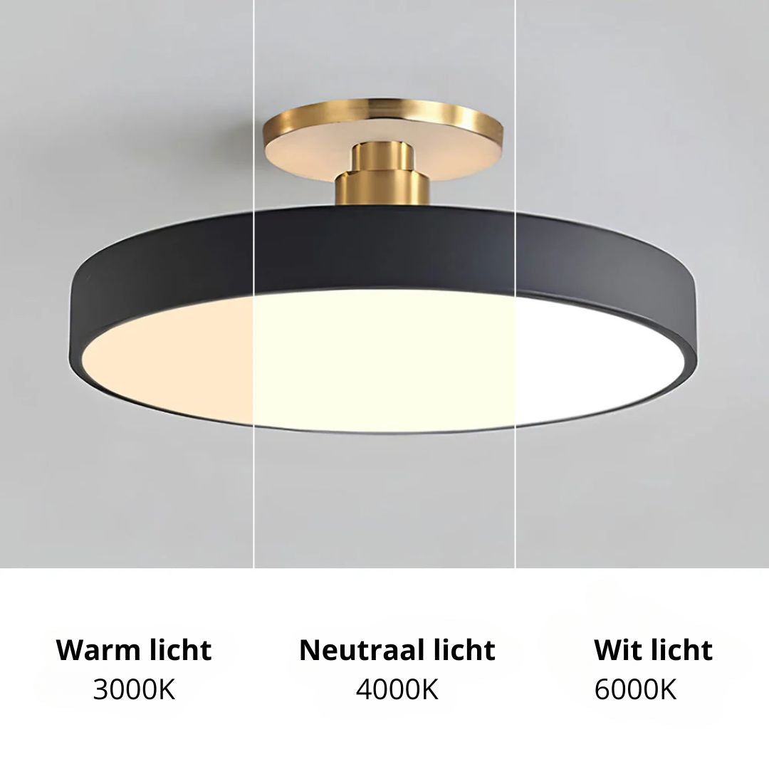 Concize Ceiling Light
