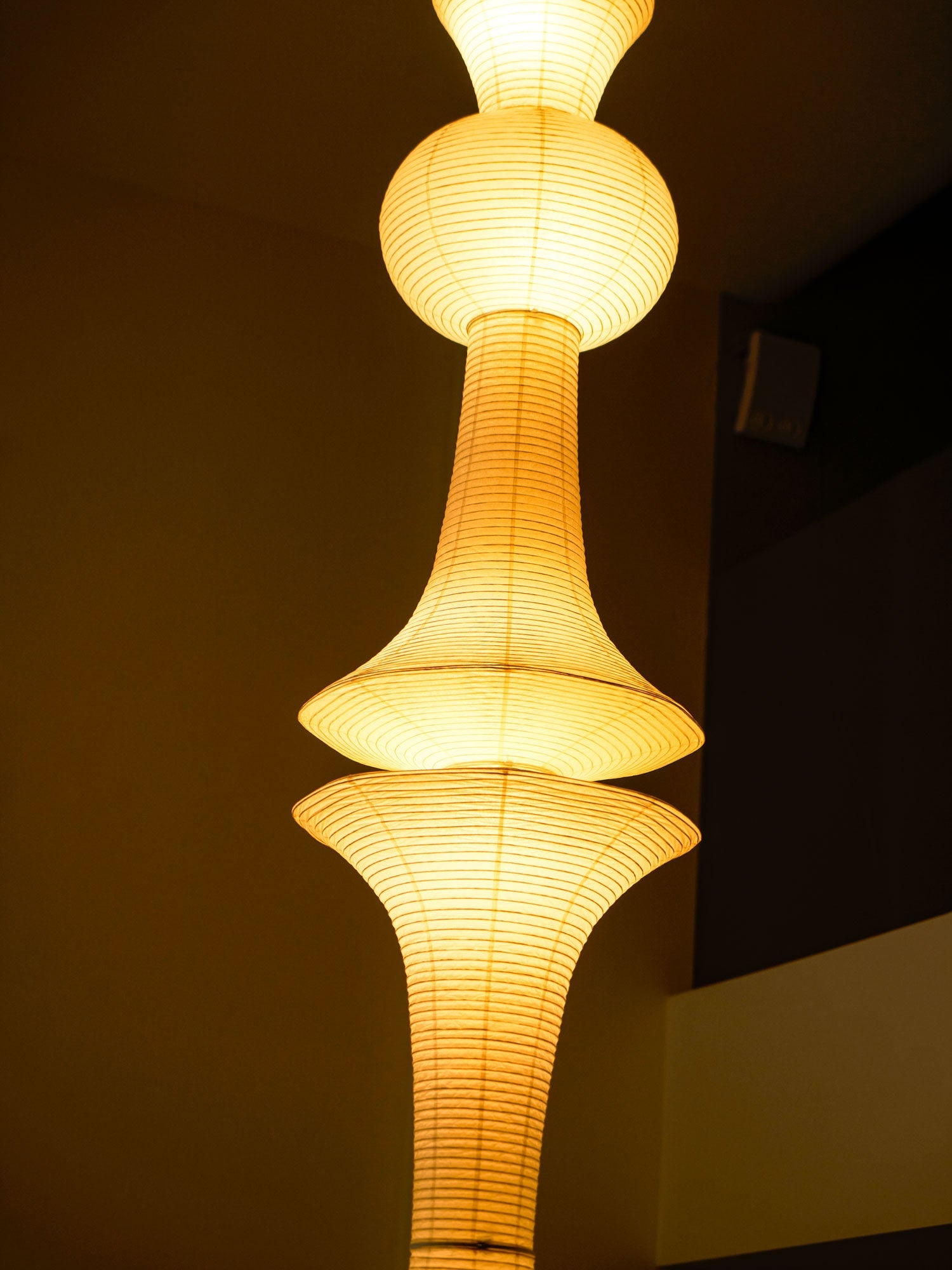 Dunioa Pendant Light
