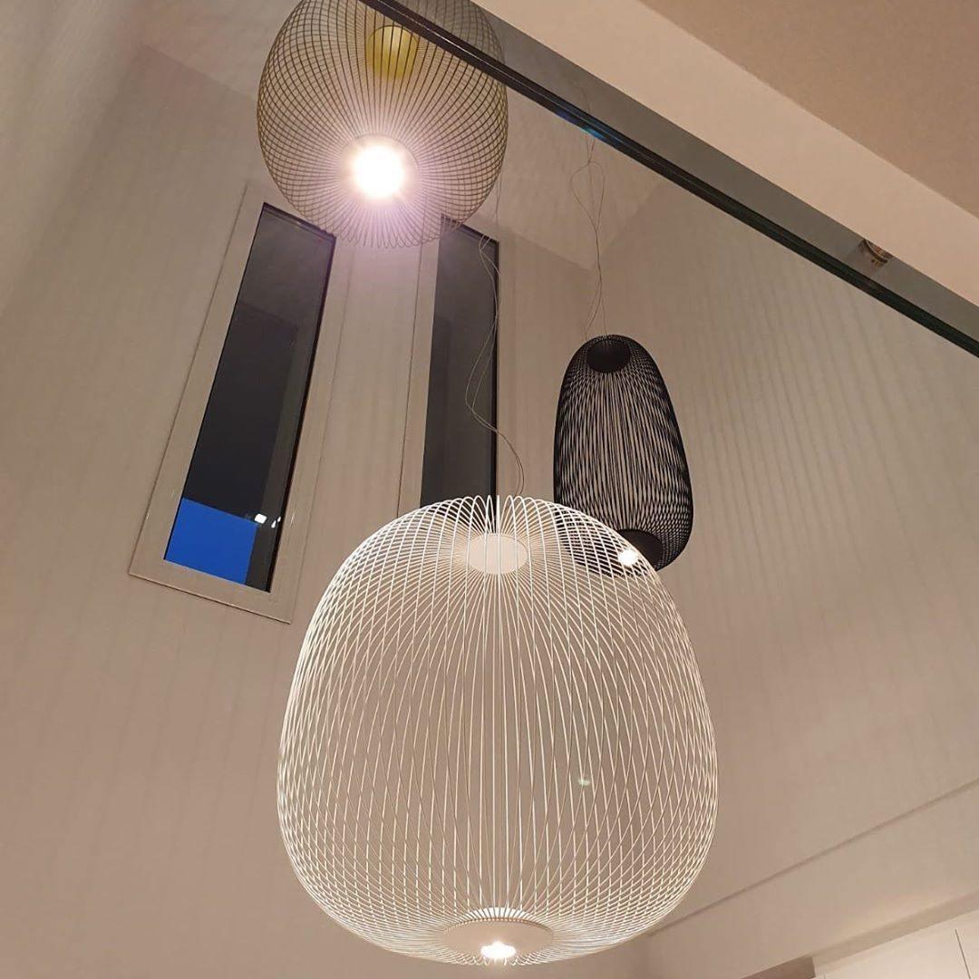 Enloria Cage Pendant Light