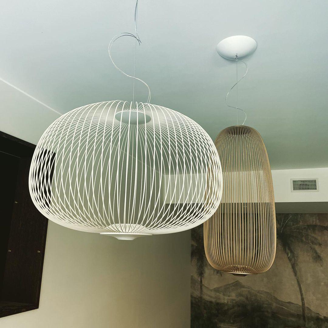 Enloria Cage Pendant Light