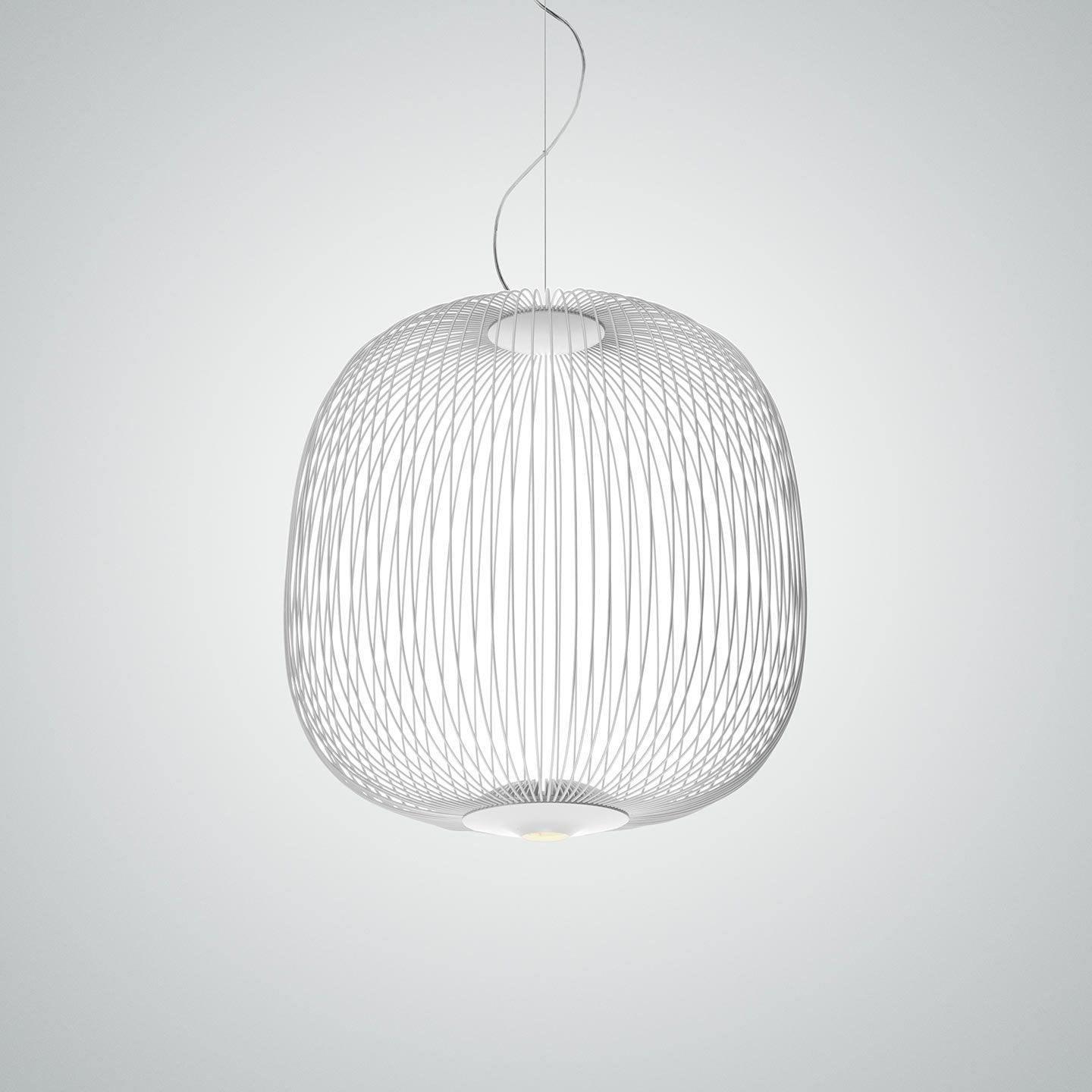 Enloria Cage Pendant Light