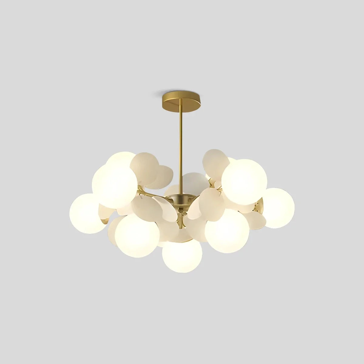 Floyizo Ceiling Light