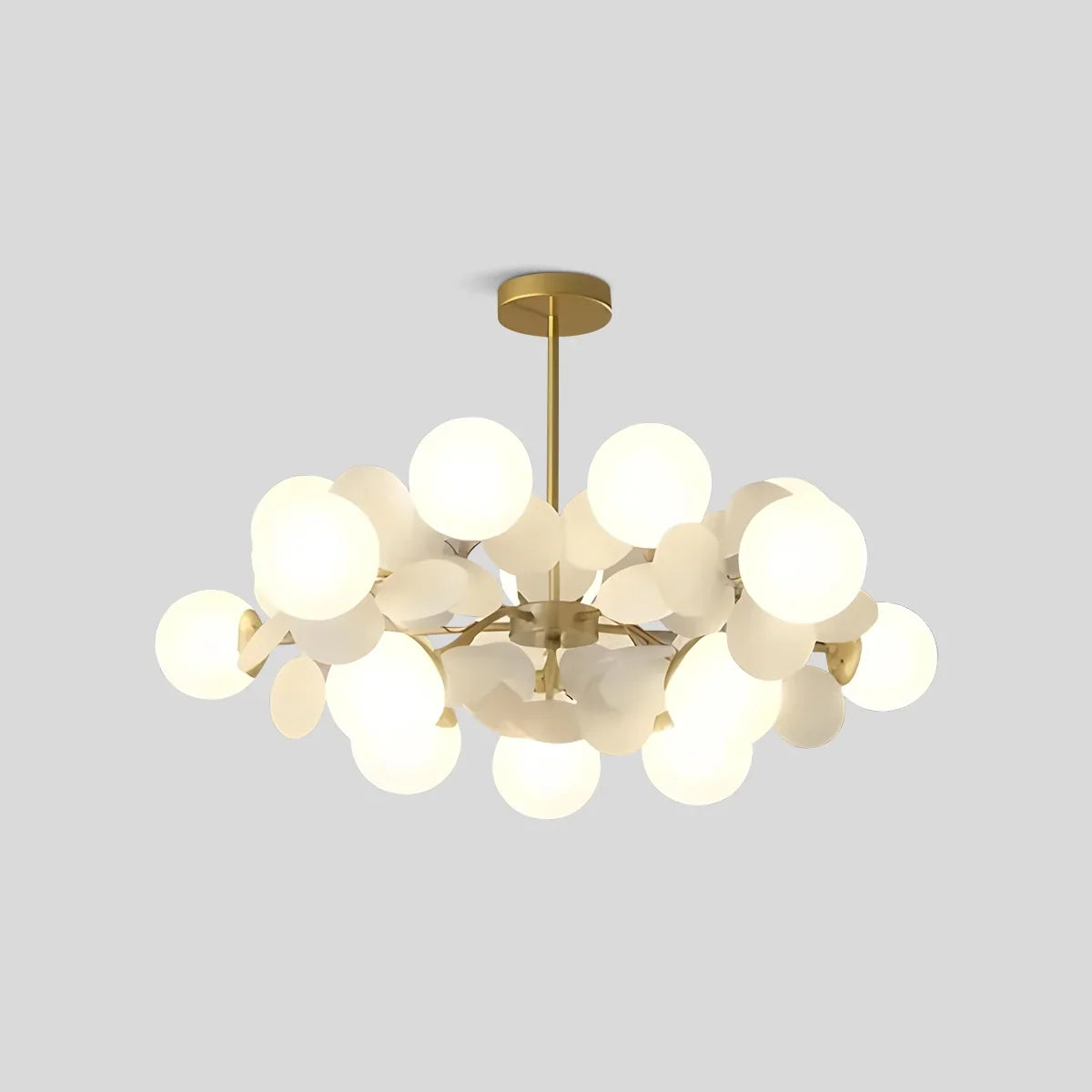 Floyizo Ceiling Light