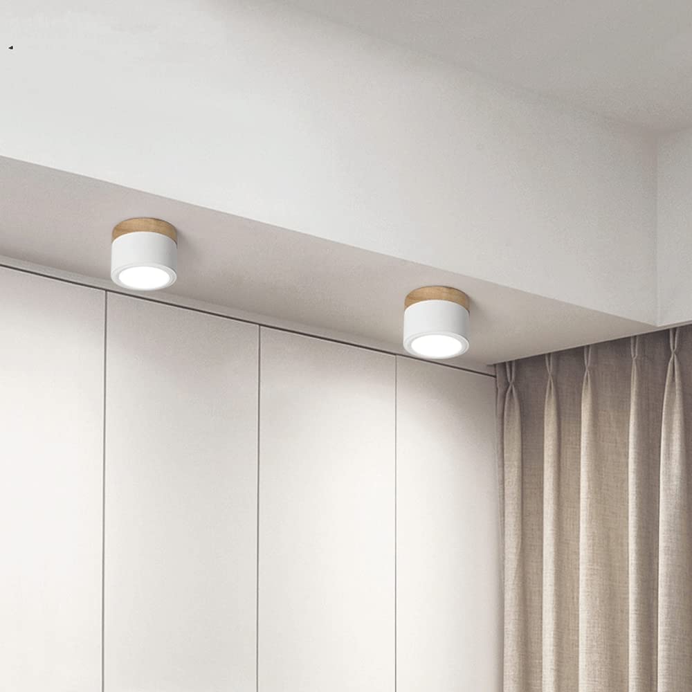 Cylinder Small Ceiling Light