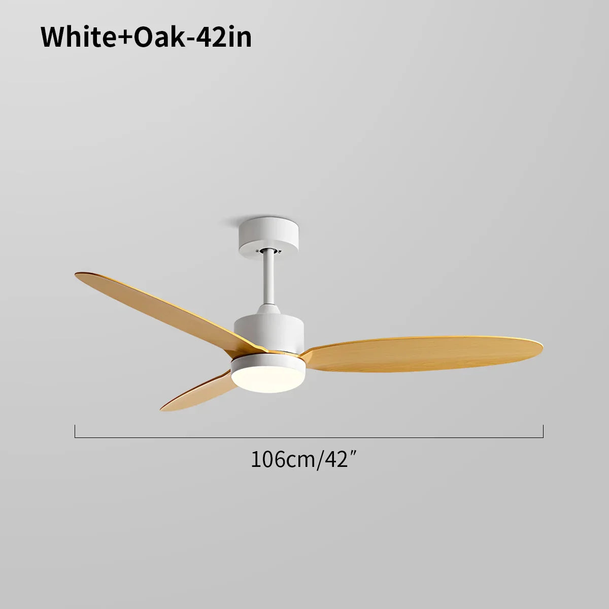 Marvento Ceiling Fan