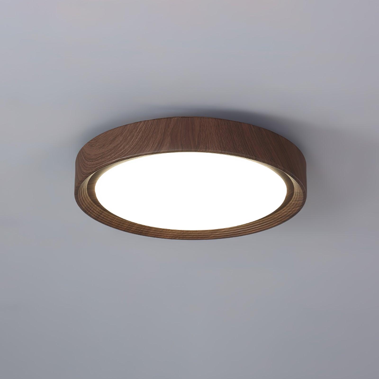 Loxno Round Ceiling Light