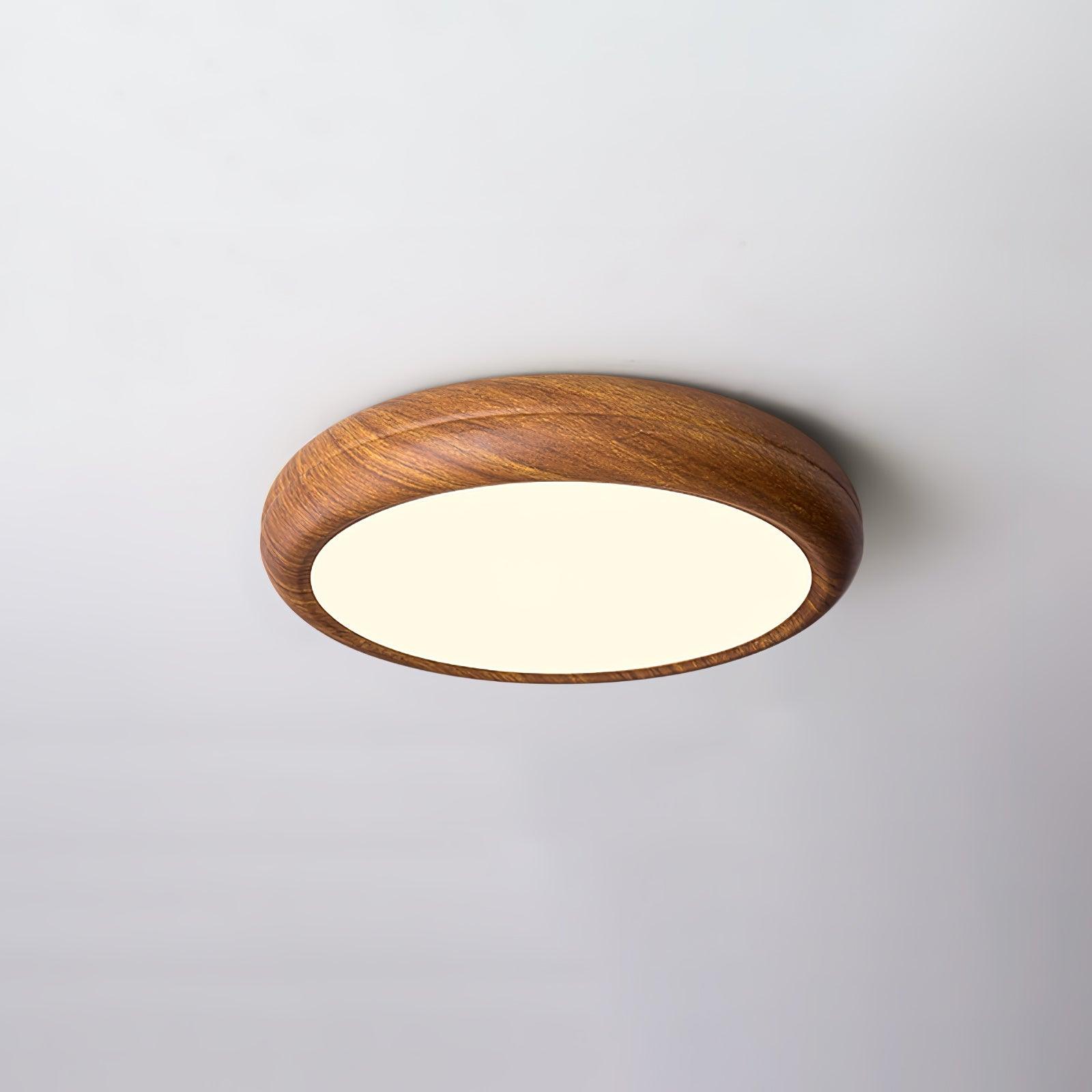Loxno Round Ceiling Light