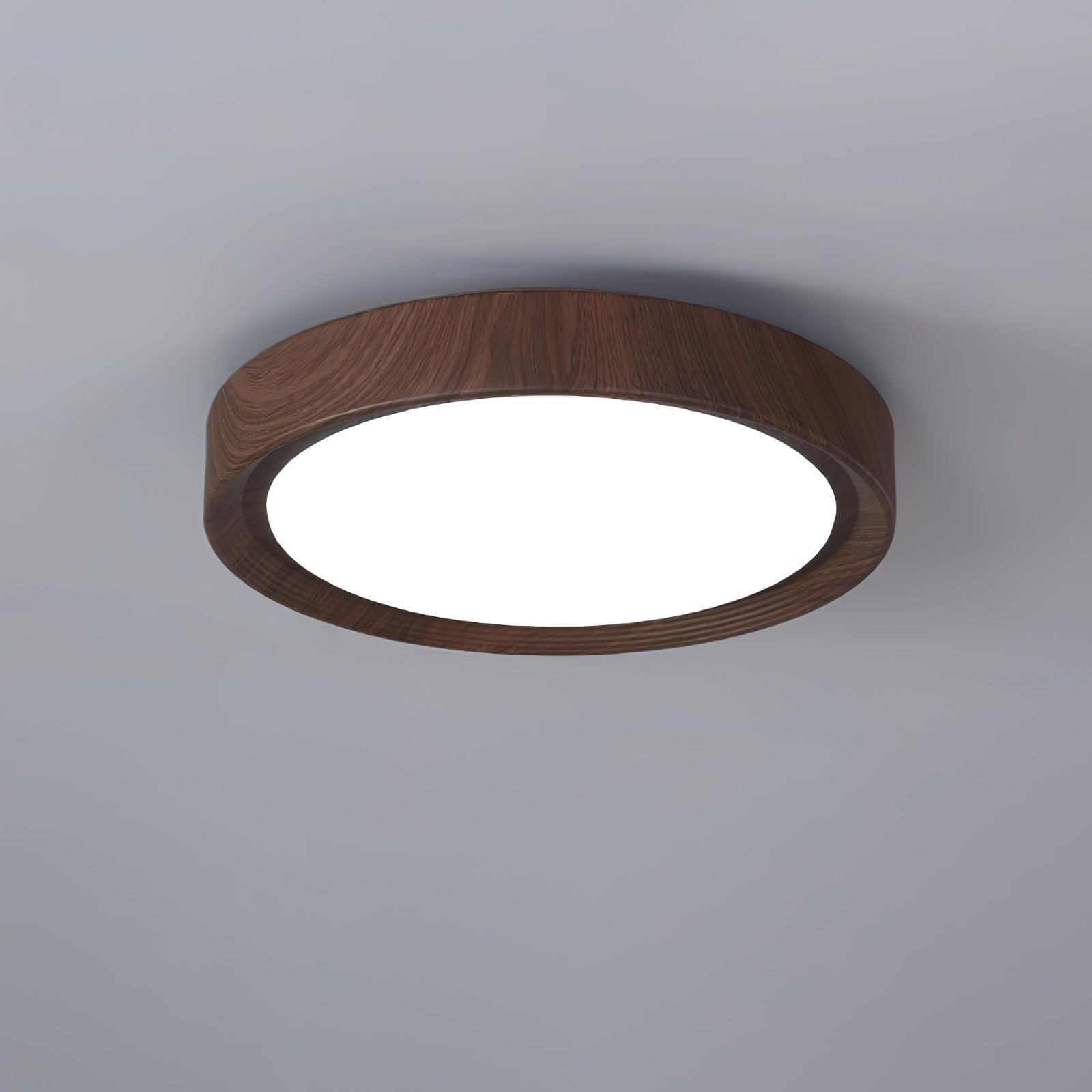 Loxno Round Ceiling Light