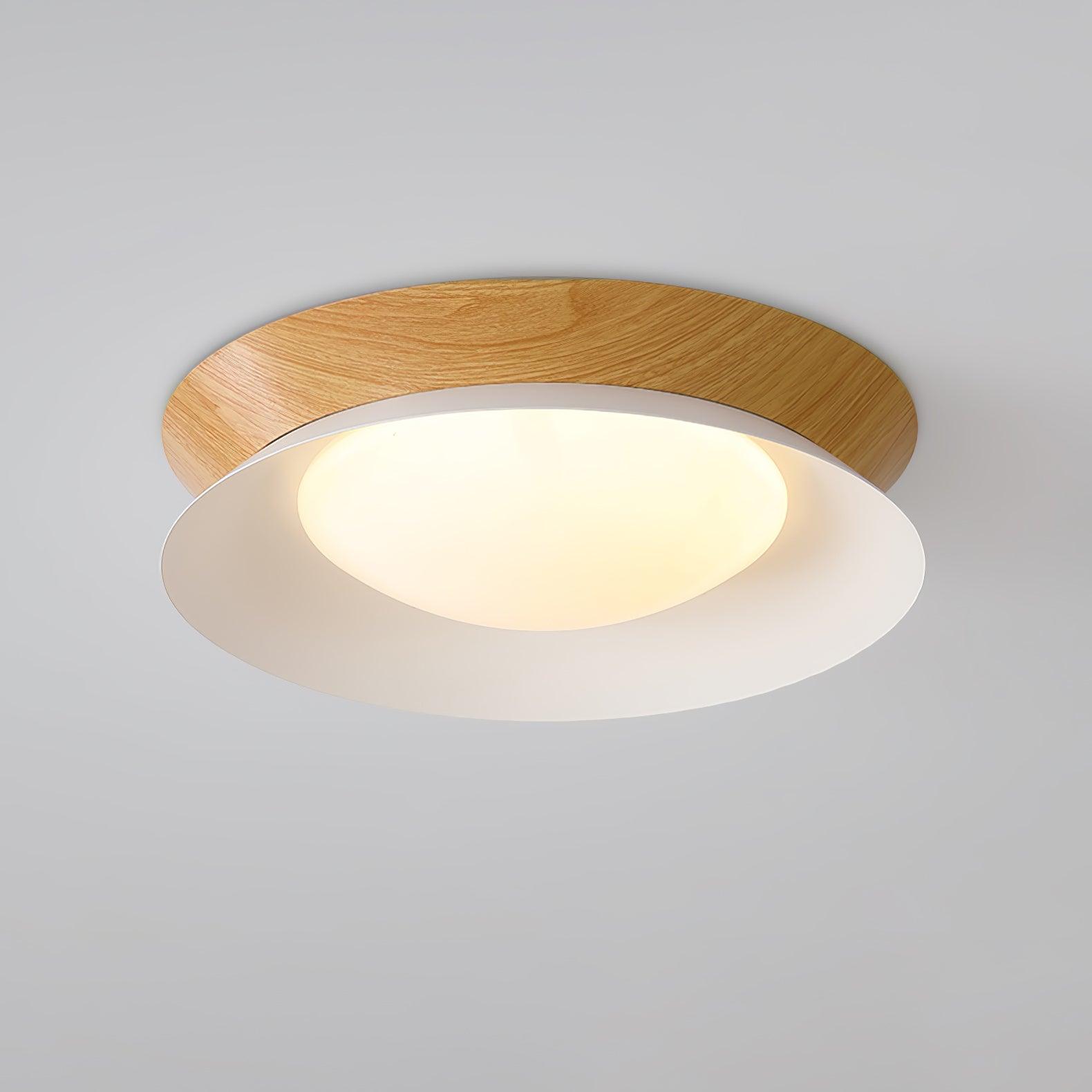Solani Ceiling Light