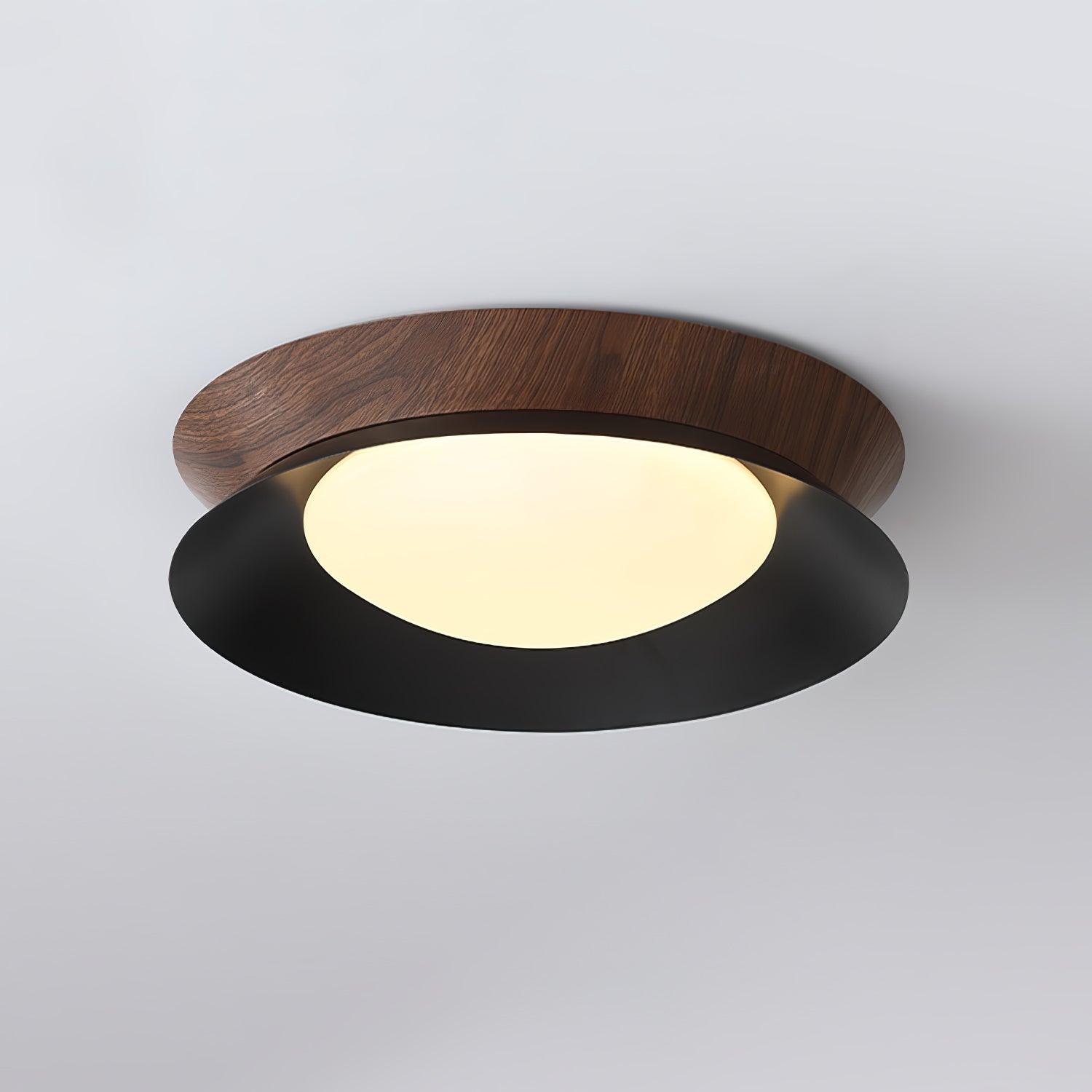 Solani Ceiling Light