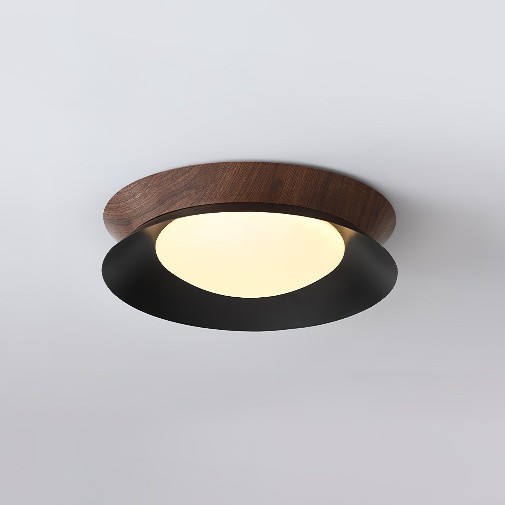 Solani Ceiling Light