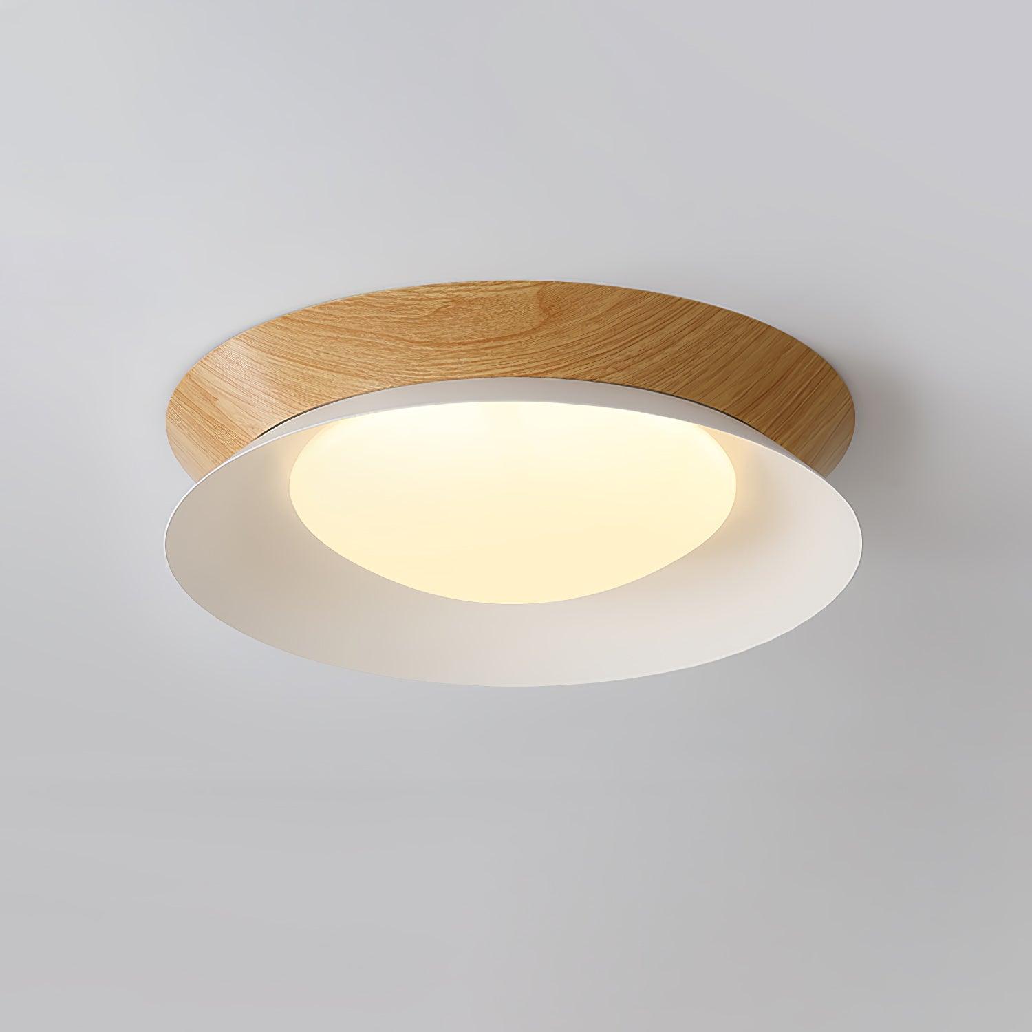 Solani Ceiling Light