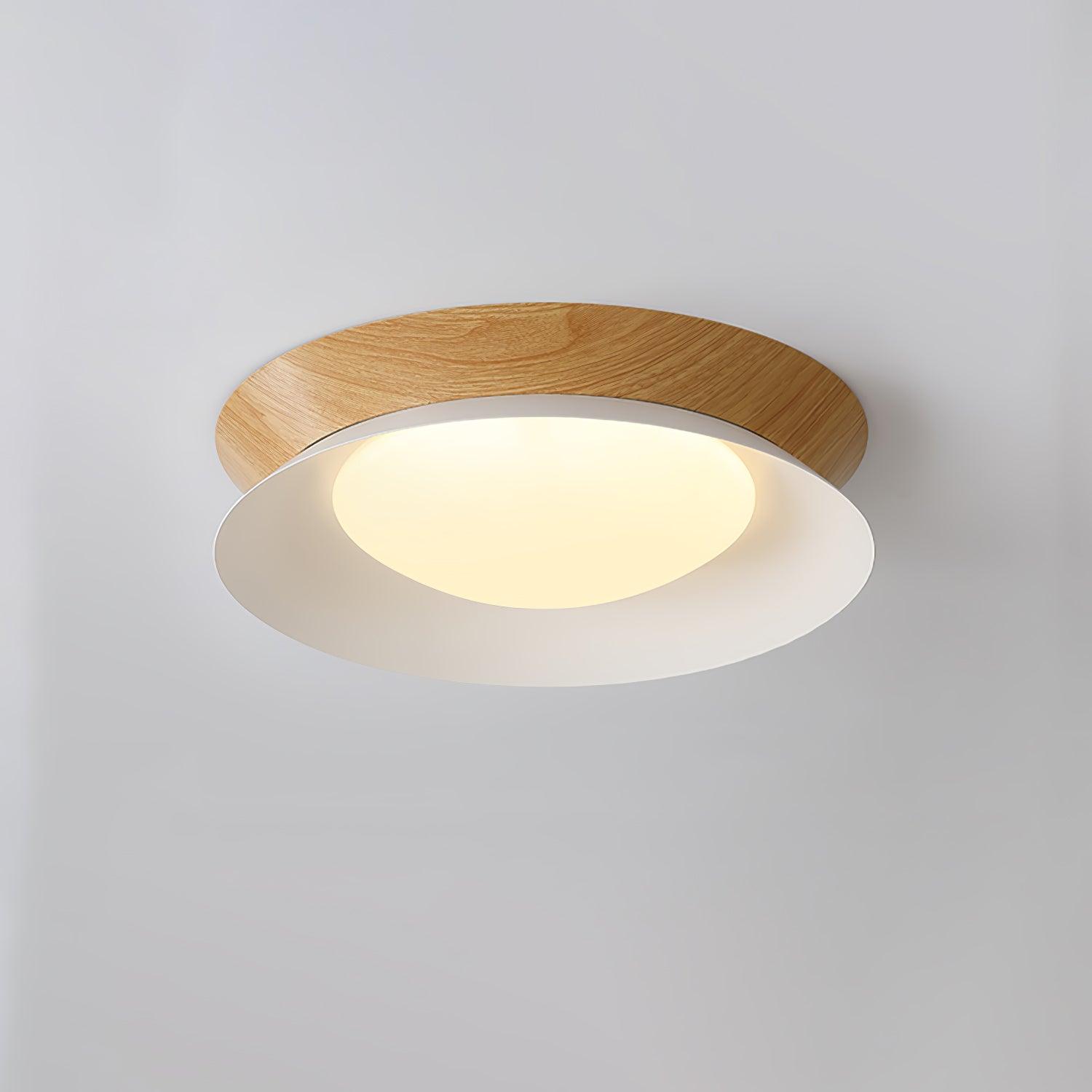 Solani Ceiling Light