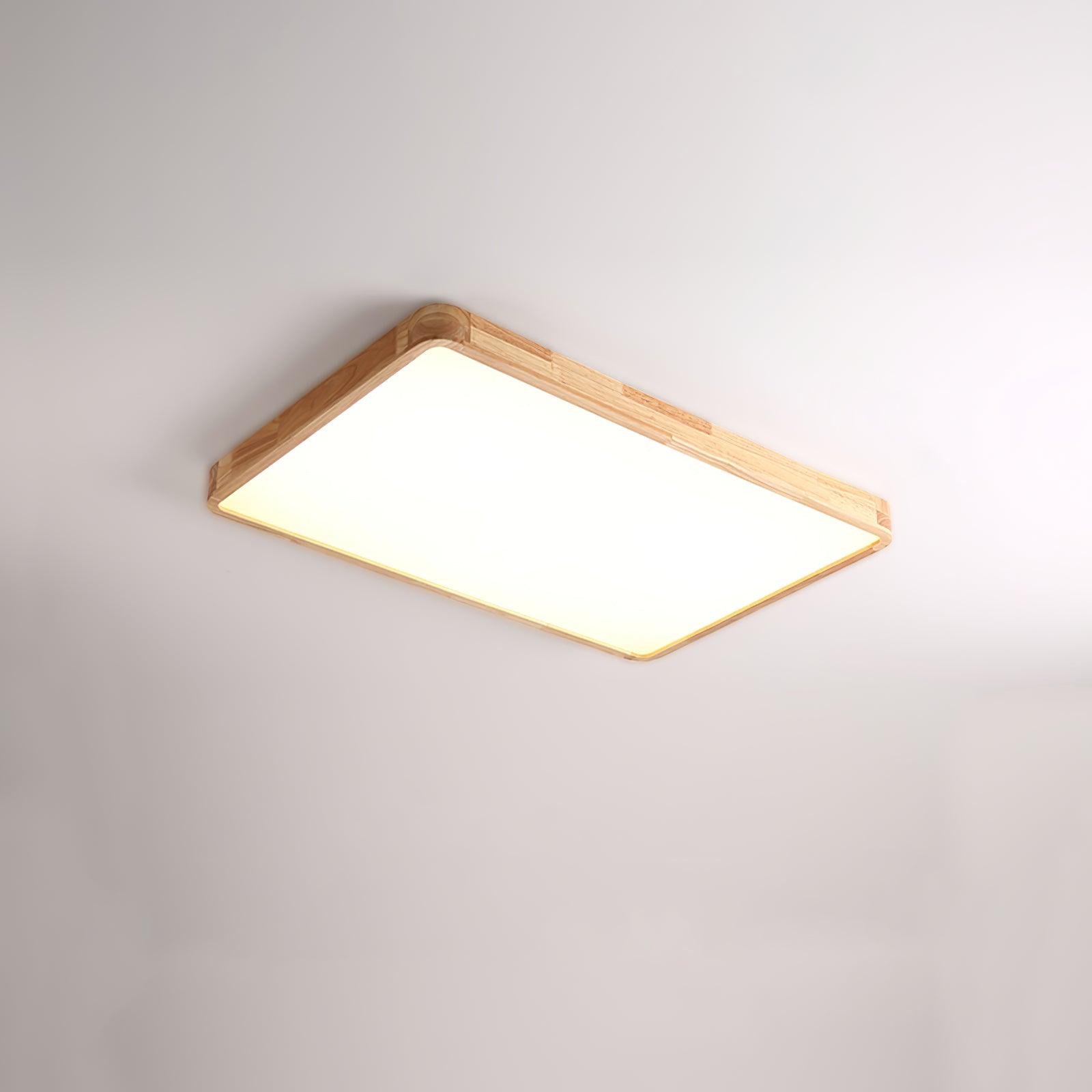 Weliva Ceiling Light