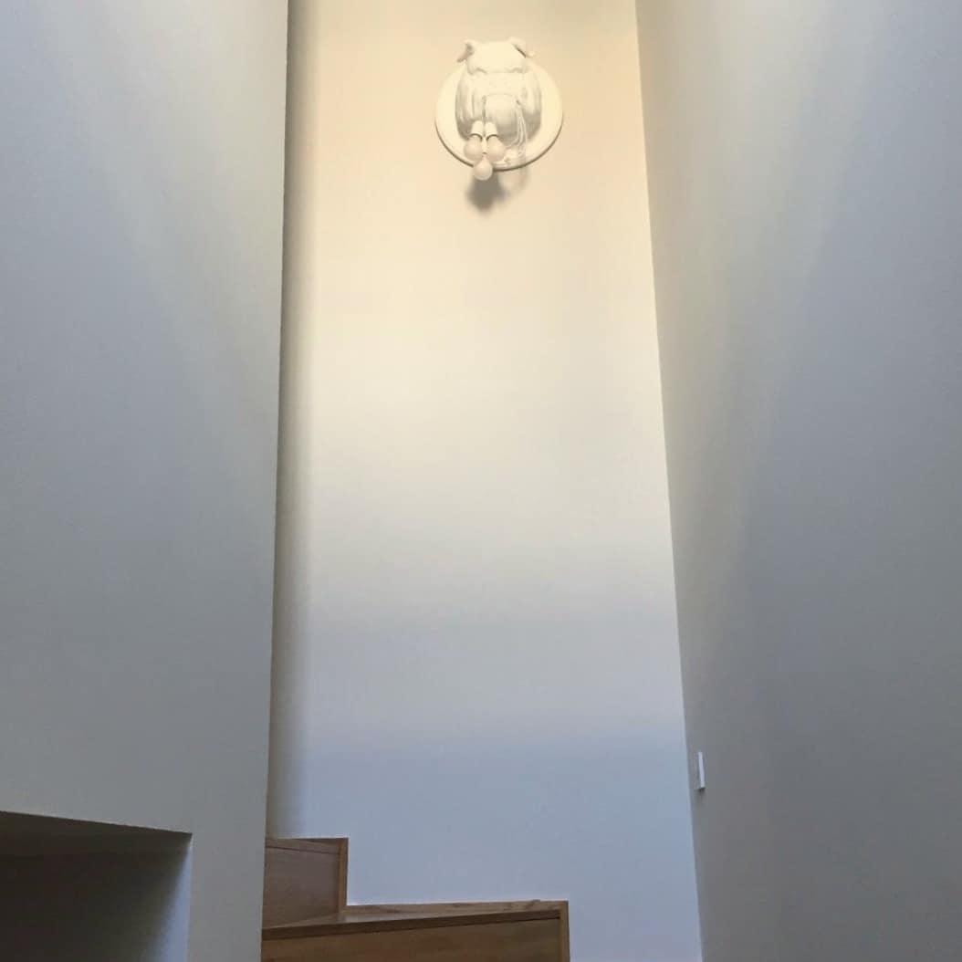 Bulldog Wall Light