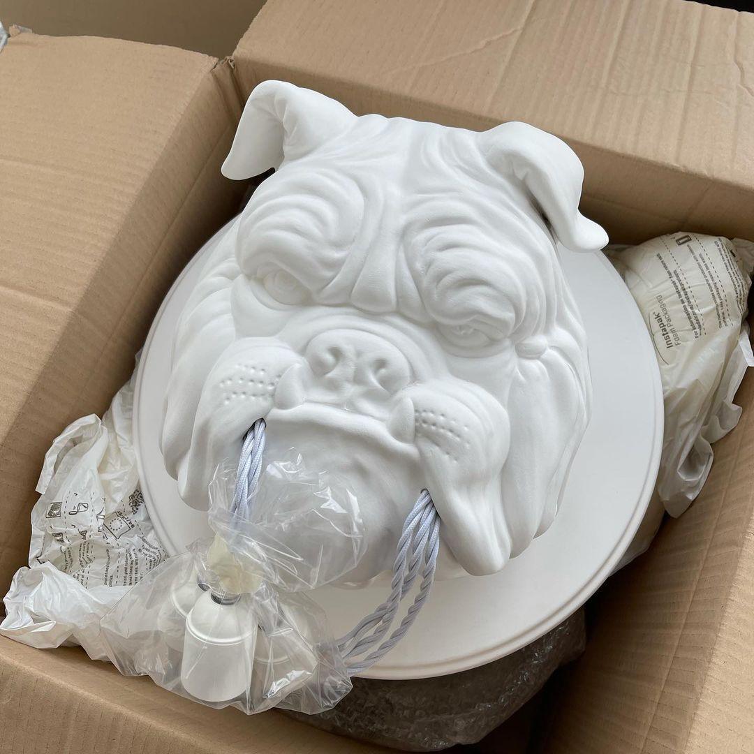 Bulldog Wall Light