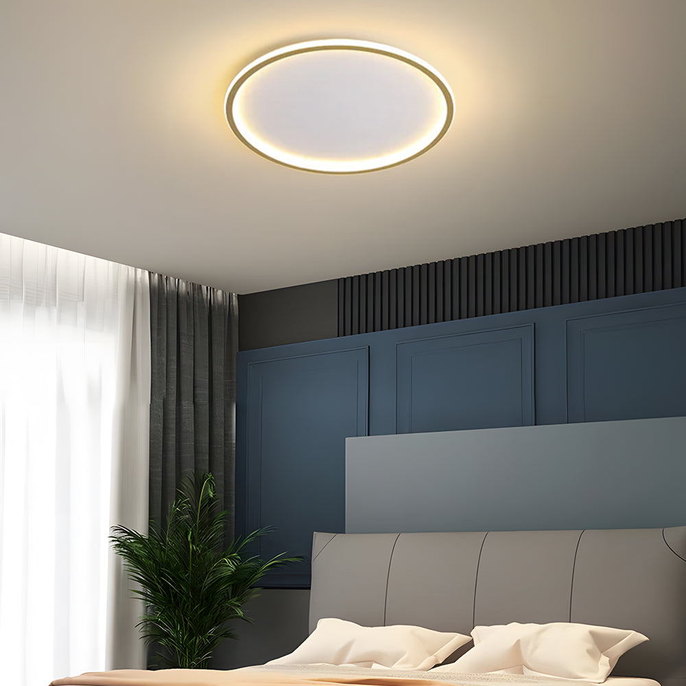 Circull Ceiling Light