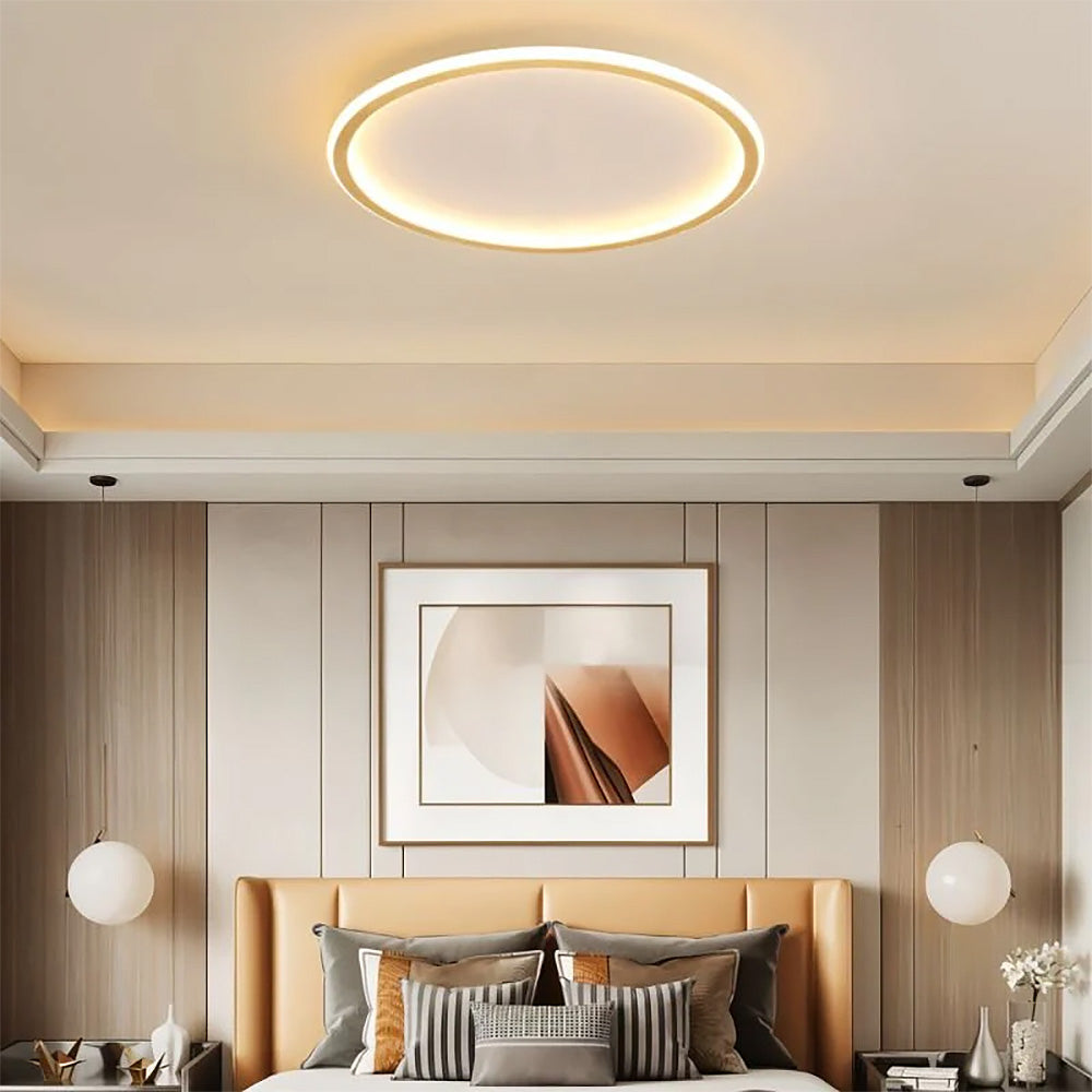 Circull Ceiling Light
