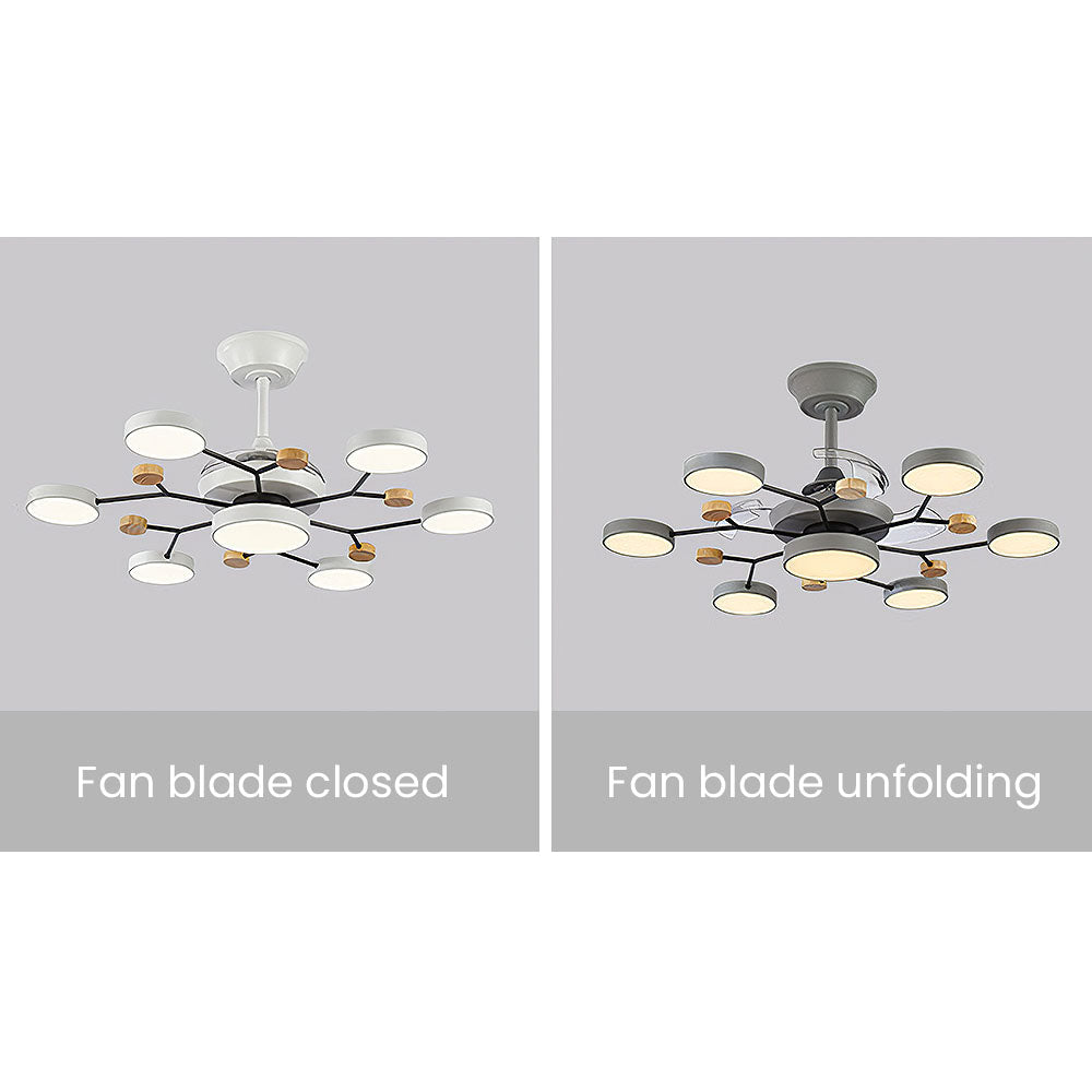 Lenara LED Ceiling Fan