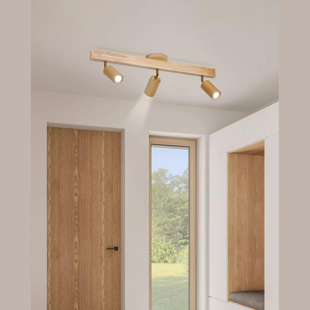 Cennoford Ceiling Light