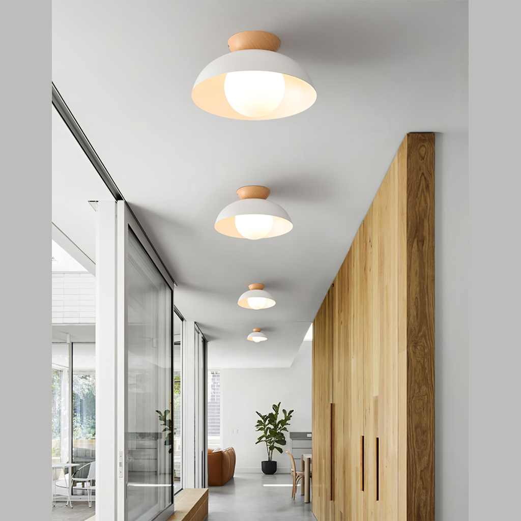 Merrarley Ceiling Light