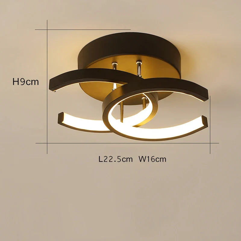 Ringled Ceiling Light